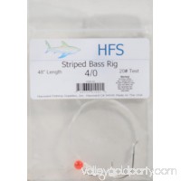 Hayward Striped Bass Rig   554208184